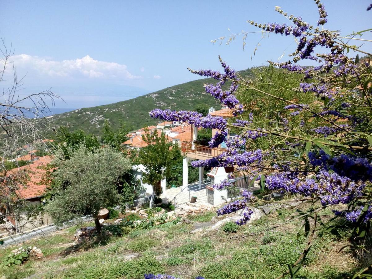 Dimitra'S Garden Villa Kallirakhi Экстерьер фото